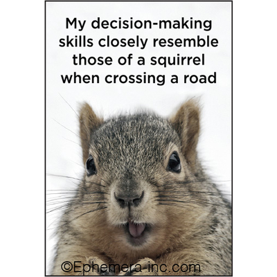 My decision-making skills closely resemble those of a squirrel when crossing a road