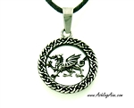 Welsh Dragon 316 L Stainless Steel Pendant (s214)