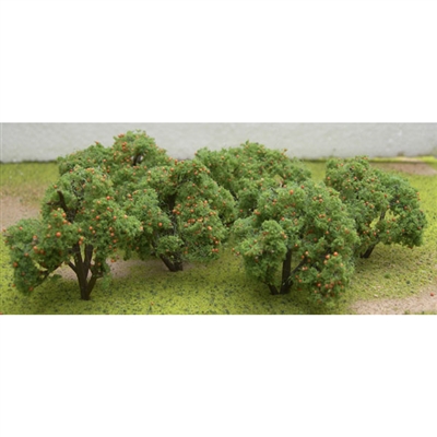 0592121 FRUIT GROVE: ORANGE TREES 2"-2 1/4" 6/pk