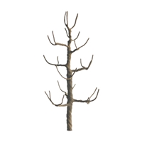 0594117 PROFESSIONAL TREES: SYCAMORE 2" PRO ARMATURE, 4/pk