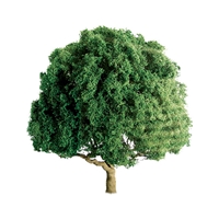 0594260 PROFESSIONAL TREES: OAK 1'' PRO, 4/pk