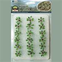 0595593 RHUBARB PLANTS, O-scale, 18/pk