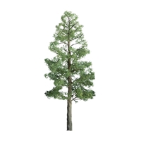 0596103 PROFESSIONAL TREES: PINE 12'' PRO, 1/pk