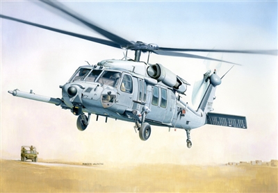 552666 1/48 MH-60K Blackhawk SOA
