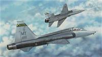 702876 1/48 T-38C Talon II