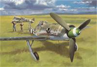 81721 1/48 Focke-Wulf FW190D-13