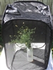 Wholesale Black 15" by 15" by 24" Popup Cage with zipper protection (no vinyl window)