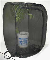 Black 24" by 24" by 36" Popup Cage with zipper protection (vinyl window)