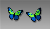 Sienna Sky Earrings- Small Blue/ Green/ Black Butterfly Post