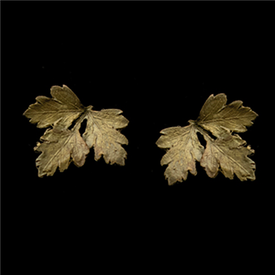Parsley Leaf Post Earrings