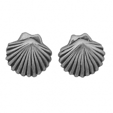 Sterling Silver Post Earring-Sea Shell