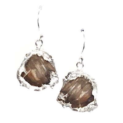 Sterling Silver Dangle Earrings- Petrified Wood