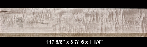 Curly Maple - 117 5/8" x 8 7/16 x 1 1/4" - $140.00