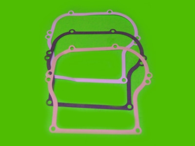 Raptor Sidecover Gasket