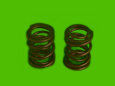 Comp Cams dual valve springs