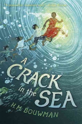 A Crack in the Sea by H. M. Bouwman