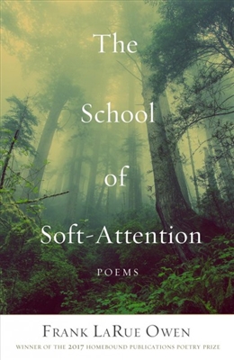 The School of Soft-Attention