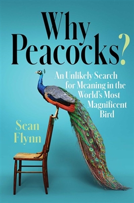 Why Peacocks by Sean Flynn