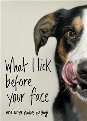 What I Lick Before Your Face