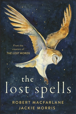 The Lost Spells by Robert Macfarland and Jackie Morris