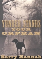 Yonder Stands Your Orphan