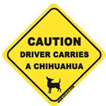 Driver Carries A Chihuahua