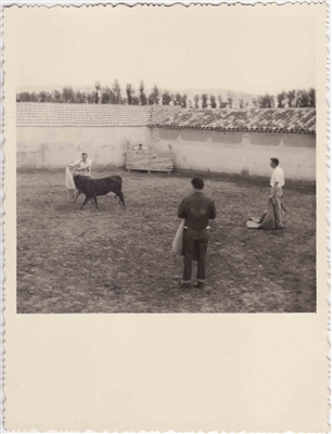 Bullfight