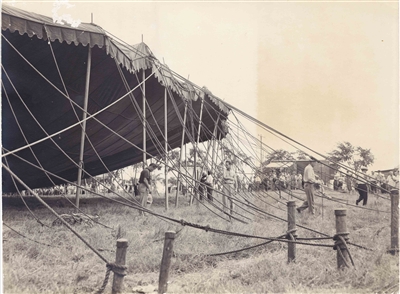 Behind the Big Top