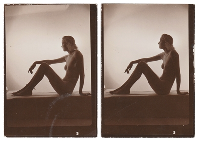 Nude Diptych