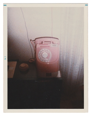 Pink Pig Telephone