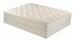 Queen Orthopedic Type Mattress Set