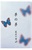 NIPPON KODO | YUME-NO-YUME (The Dream of Dreams) - Summer - BUTTERFLY 12 sticks