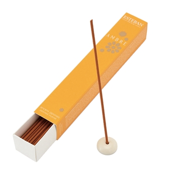 NIPPON KODO | ESTEBAN - AMBRE - Japanese Incense Discovery Box (40 Sticks)