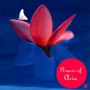 NIPPON KODO | PACIFIC MOON MUSIC CDs - Graces of Asia