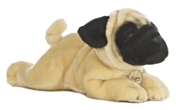 Pug Dog Miyoni