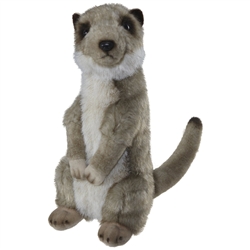 Meerkat Signature (Small)