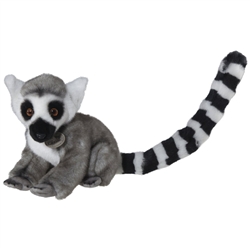 Ring Tailed Lemur Signature