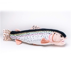 Rainbow Trout