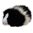 Angora the Black and White Guinea Pig 8"l