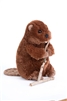 Buddy Beaver 7"h