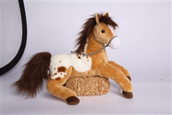 Glisten Golden Appaloosa Horse