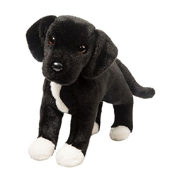 Twister Black Lab Pit Bull Mix 17" L