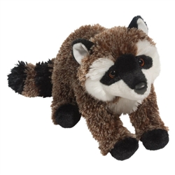 Douglas Tip Toes Raccoon 16" L