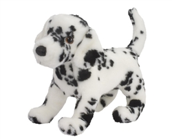 Winston Dalmatian Dog