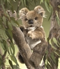 Koala Puppet 16" H