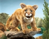 Mountain Lion Cub 21"l