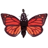 Monarch Life Cycle Butterfly Puppet 22" Wide