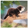 River Otter Puppet