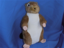 KM Prarie Dog