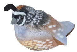 California Quail  Audubon II Collection